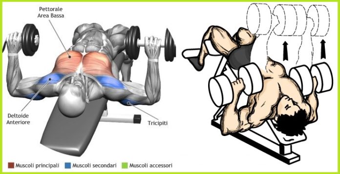 LOWER PECS EXERCISES | GUIDE