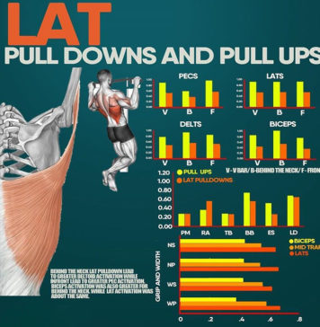 💥LAT PULL DOWNS & PULL UPS