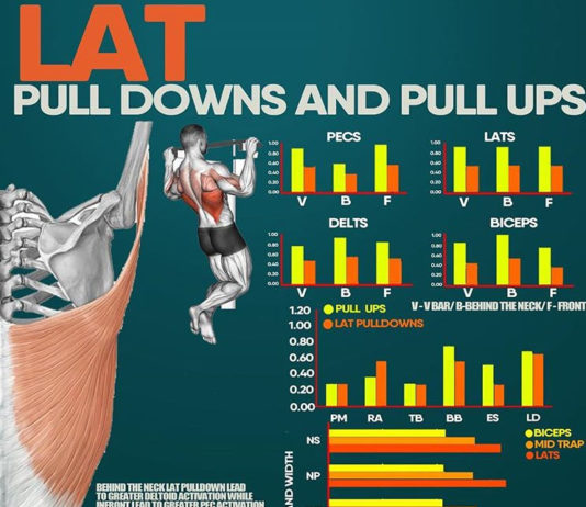 💥LAT PULL DOWNS & PULL UPS