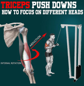 💥TRICEPS PUSH DOWNS