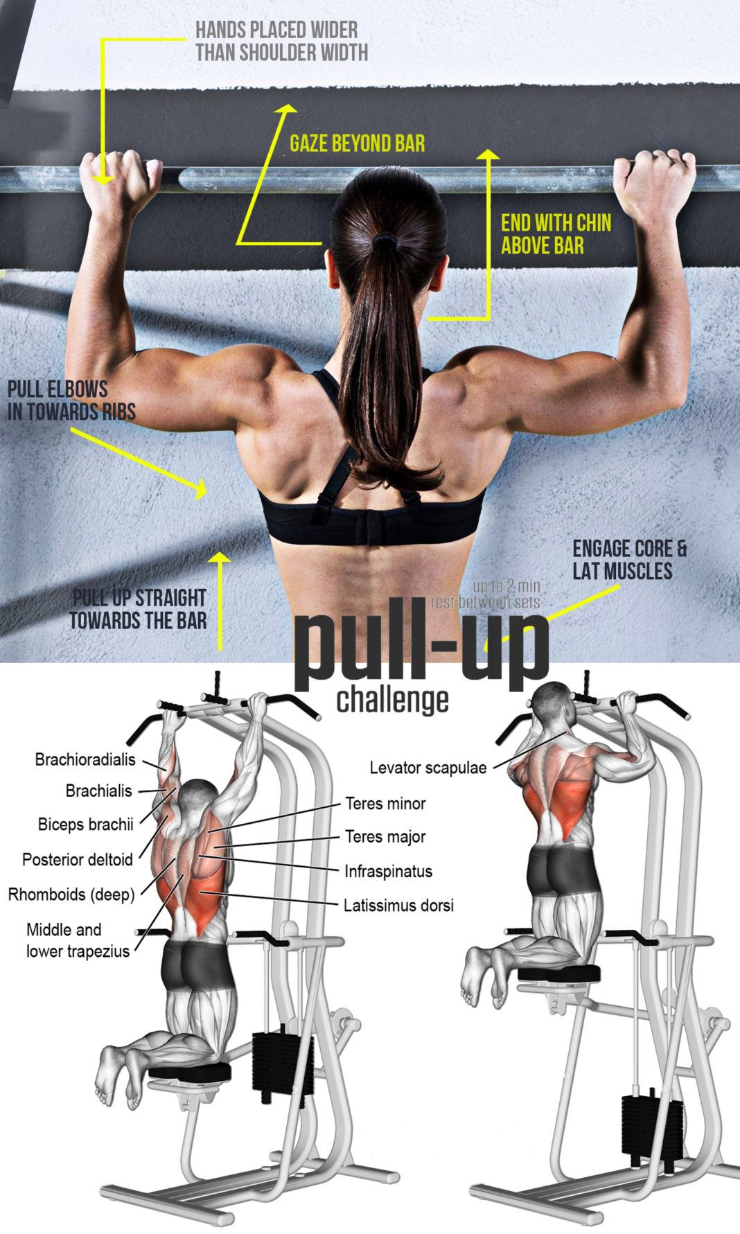 LAT PULL DOWNS & PULL UPS