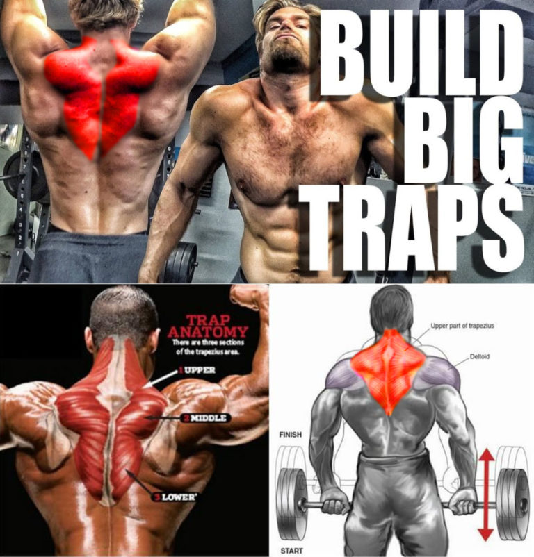 HOW TO TRAPS EXERCISES VIDEO & GUIDE