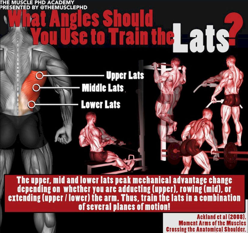 WHAT ANGLES SHOULD YOU USE & TRAIN THE LATS 