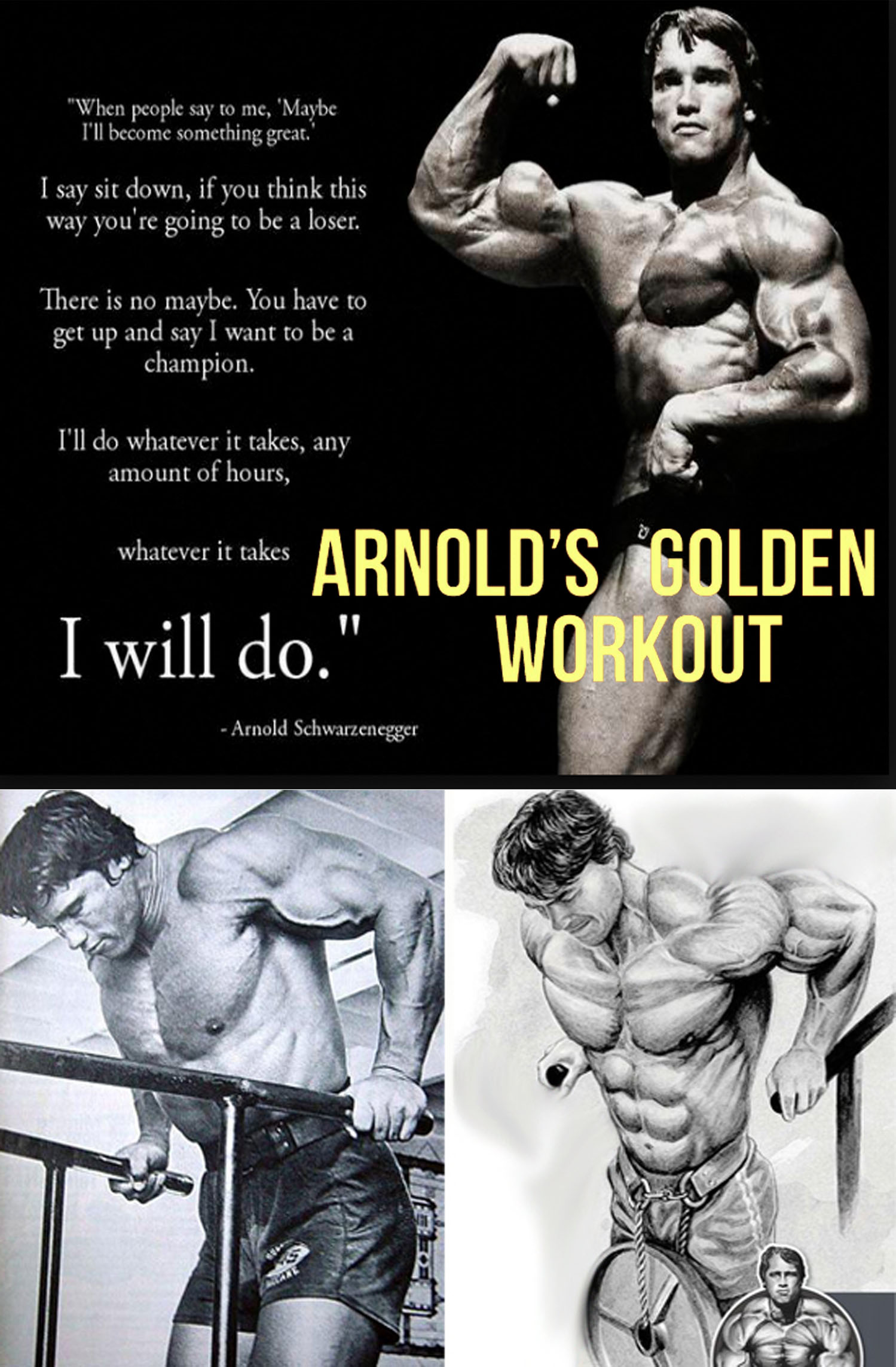 Arnold's Parallel Bar Dips
