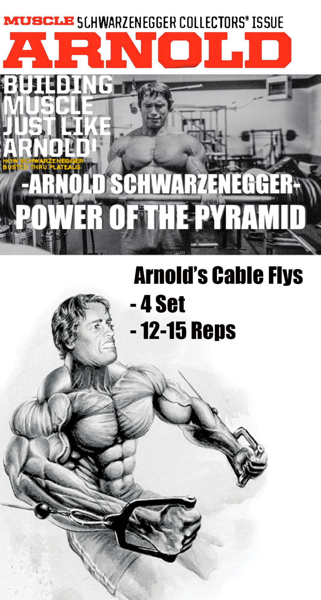 5 Arnold's Exercises Chest Routine Guide