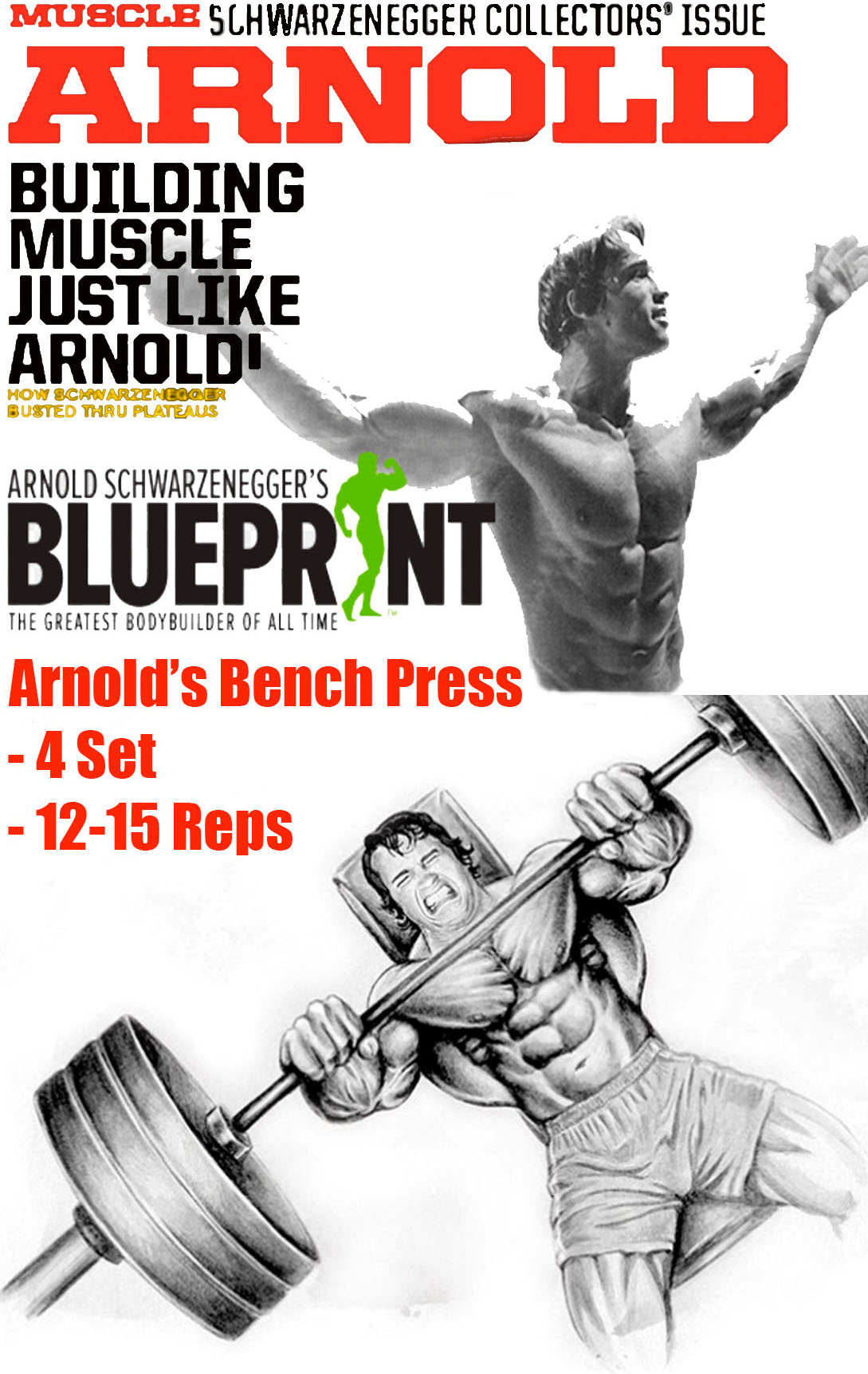 Arnold's Bench Press