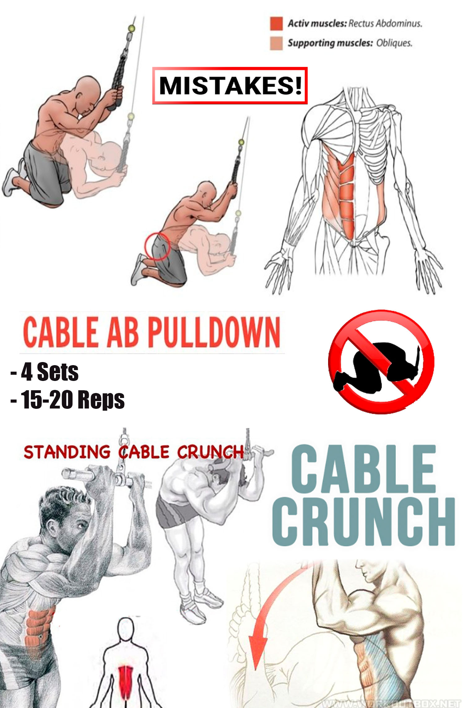 Cable crunches 