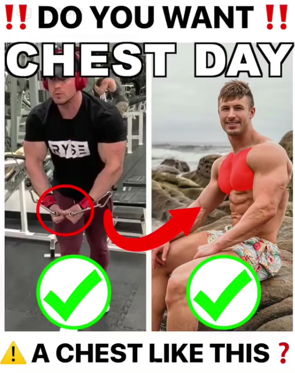 2 TOP CHEST EXERCISES