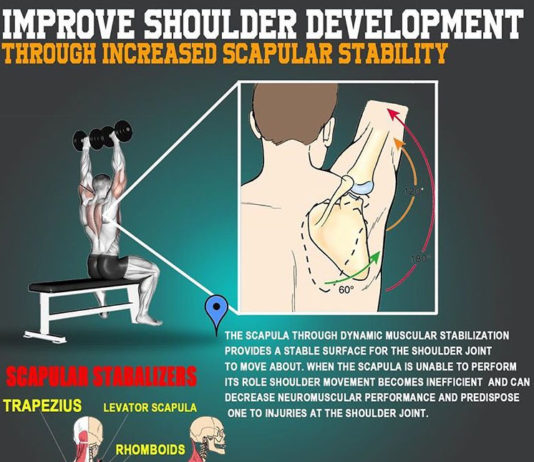 🔥IMPROVE SHOULDER DEVELOPMENT