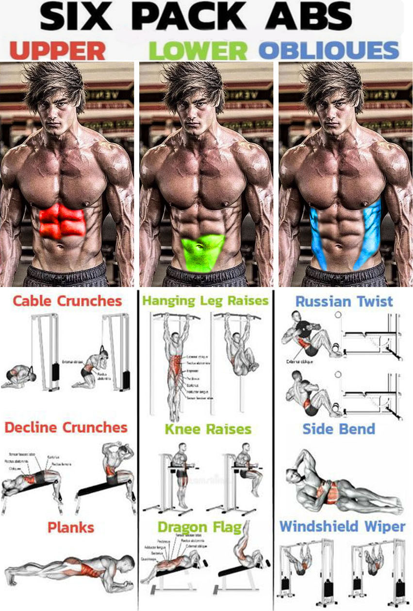 HOW TO SIX PACK ABS WORKOUT