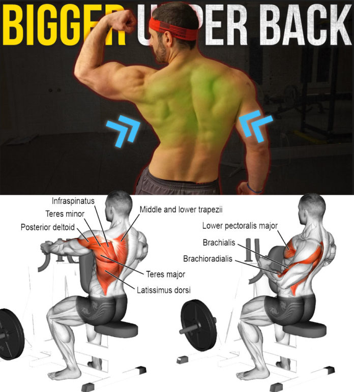 HOT 4 WIDE BACK EXERCISES | GUIDE