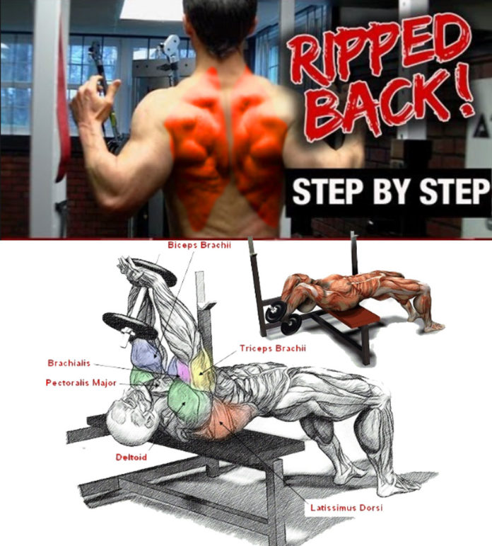 Hot 4 Wide Back Exercises Guide