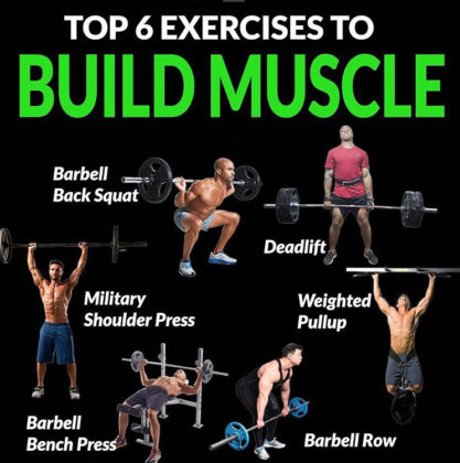 6 Highly Effective Exercises