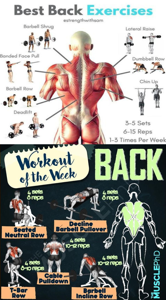 How to Chest & Back Exercises