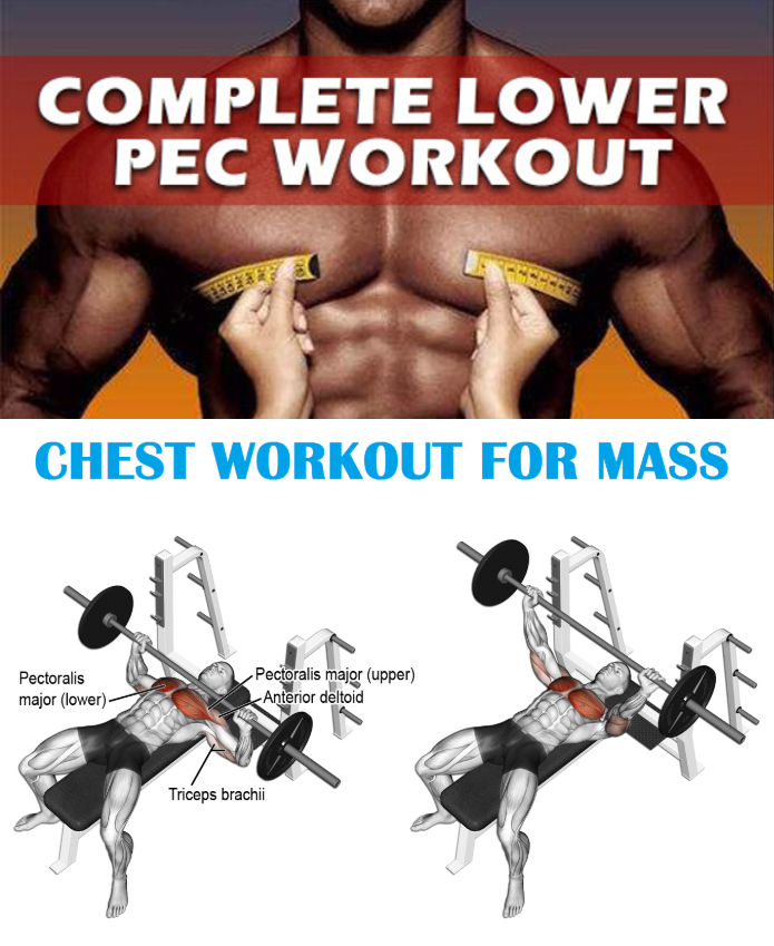 LOWER PEC WORKOUT 