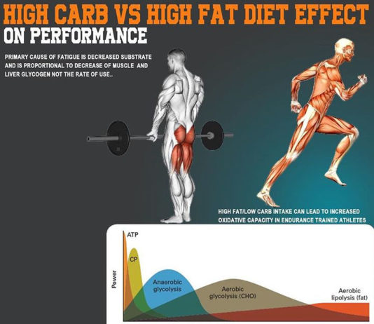 🚨LOW CARB & HIGH CARB DIET