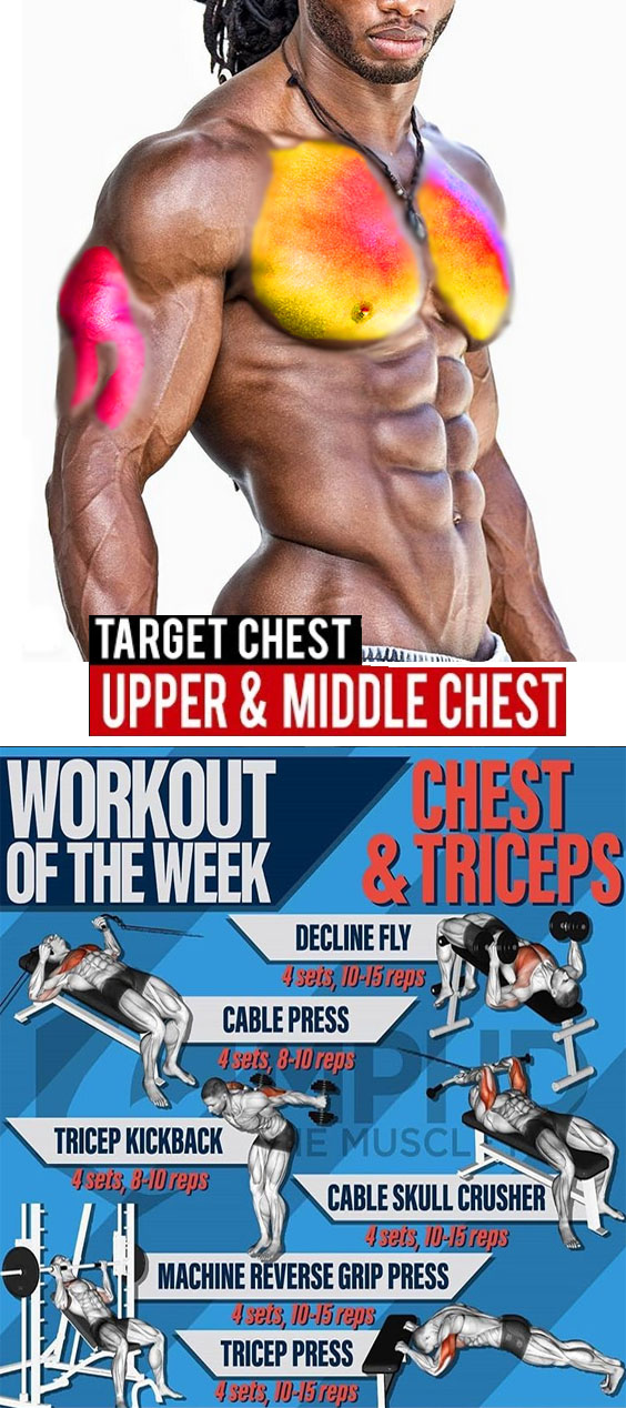 How to Workout Chest & Triceps | Guide