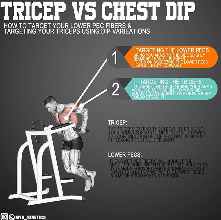 Triceps & Chest Dips