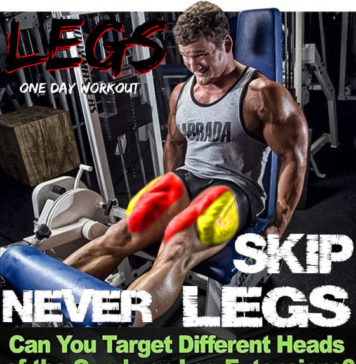 💥LEGS DAY WORKOUT