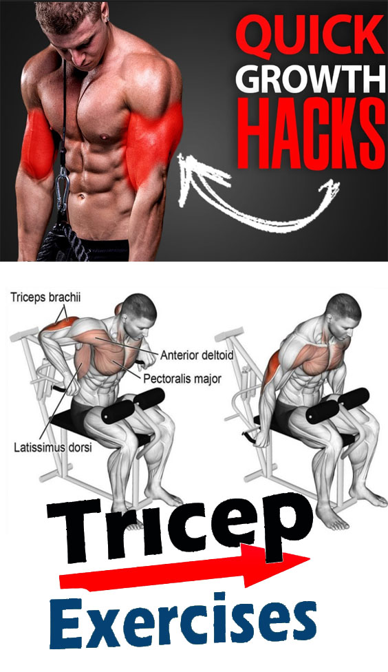 Overall Triceps Mass