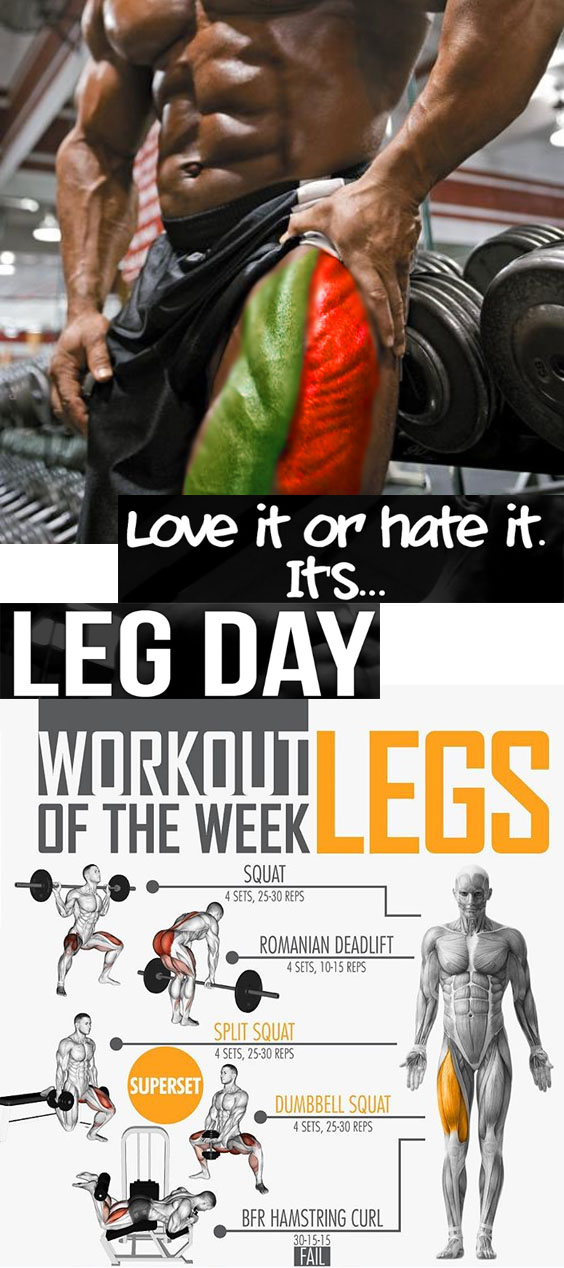 Week Program Legs Exercises