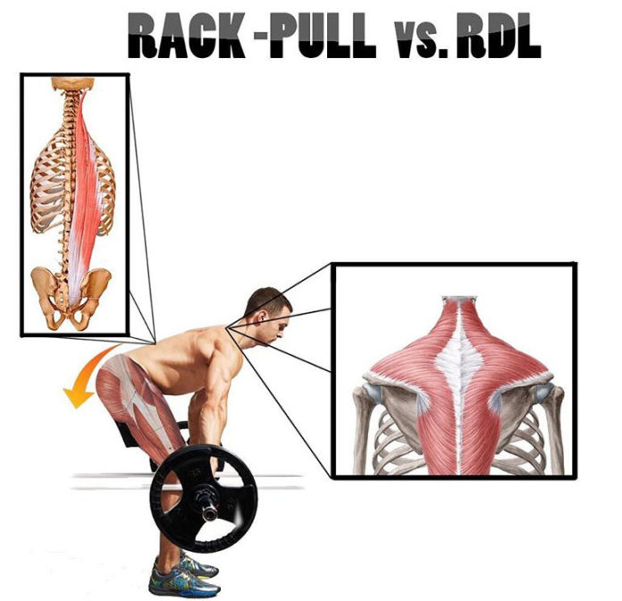 How to Rack Pulls Guide