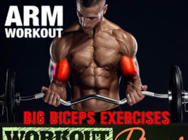 Build Large Biceps Curl