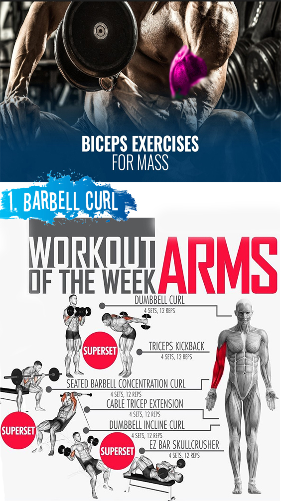 BICEPS EXERCISES FOR MASS