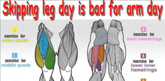 📌Skipping Leg Day | Guide