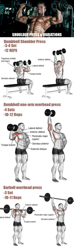 SHOULDER PRESS & VARIATIONS | GUIDE