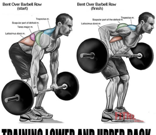 Train Upper & Lower Back Muscles