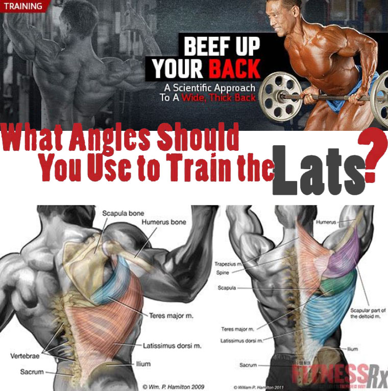 Beef Up Your Back