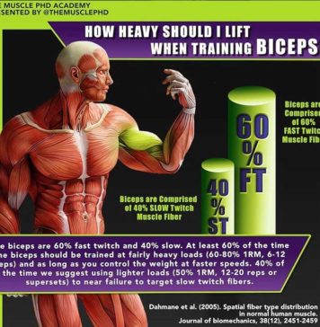 Training Biceps | Photo & Guide
