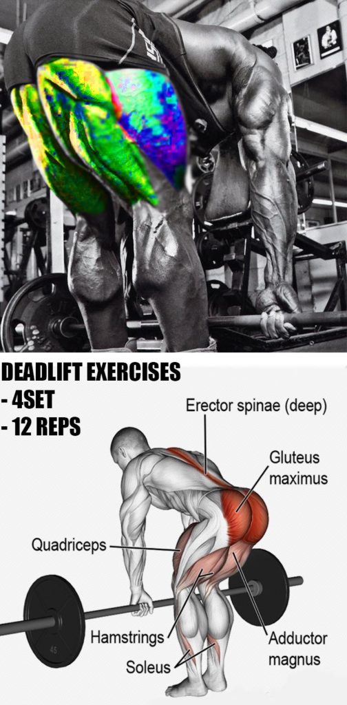 4 OF THE BEST COMPOUND EXERCISES | GUIDE