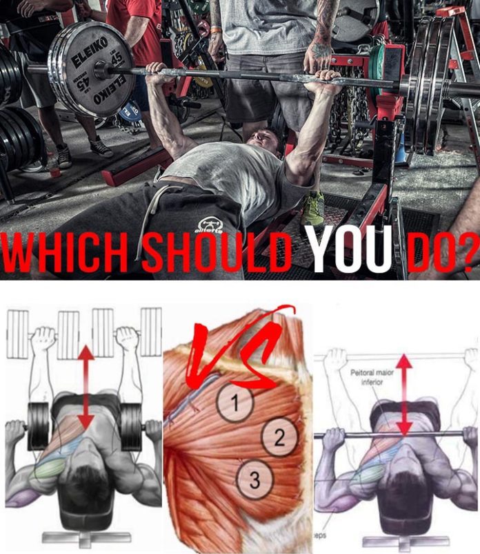 4 OF THE BEST COMPOUND EXERCISES | GUIDE