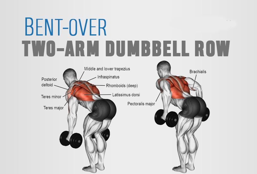 Bent over Barbell Rows упражнение. Dumbbell bent over Row. Dumbbell bent-over Row упражнение. Barbell bent over Row.