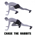Chase the Rabbits