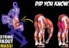 Ho to Do Hamstring Exercises for mass