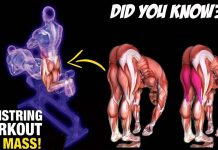 How to Do Glute & Hamstring Exercises, Benefits, Technique Guide Ho to Do Hamstring Exercises for mass