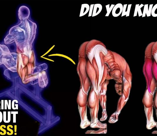 Ho to Do Hamstring Exercises for mass