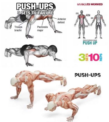 How to Do Perfect Pushup: Decline & Incline | Exercises Guide