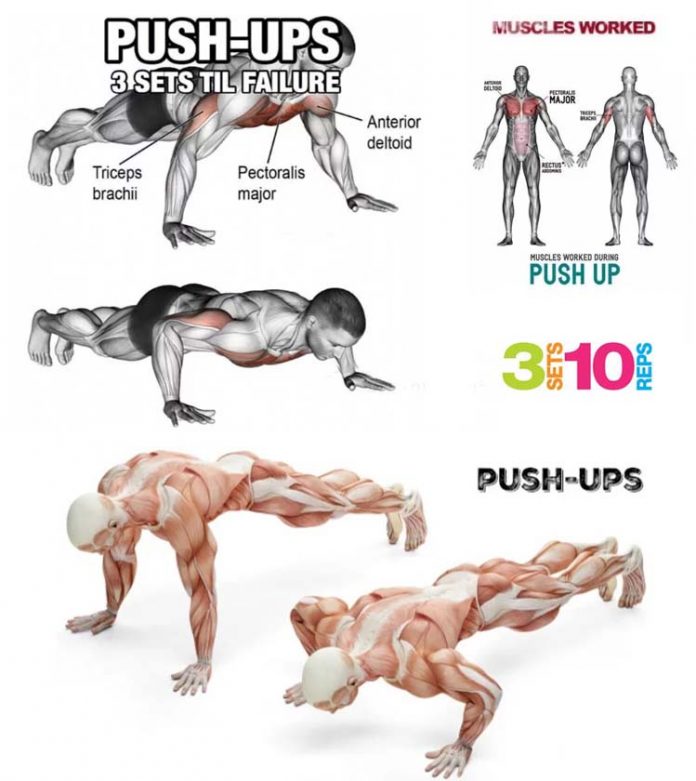 how-to-do-perfect-pushup-decline-incline-exercises-guide