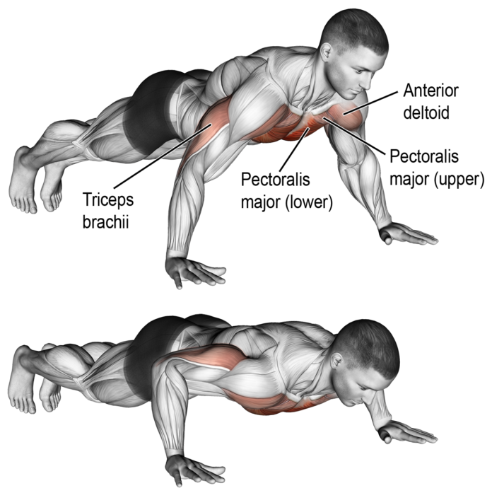 The 10 Best Home Exercises for Massive Triceps-Training Program