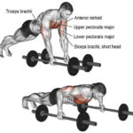 b959f264956f755f6521b8c11222a098