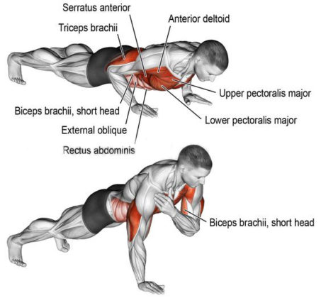 PUSH UPS VARIATION | GUIDE