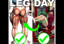 🔥2 Legs Exercises Grow | Guide
