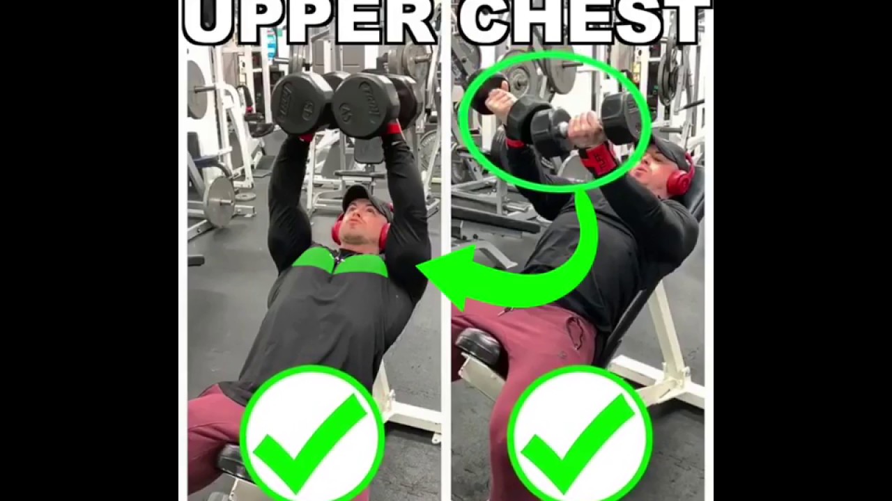 3 EXERCISES FOR UPPER CHEST Video & Guide