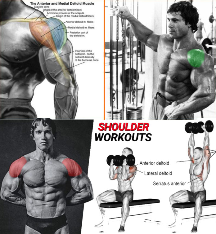 HOW TO ANTERIOR DELTS TRAINING