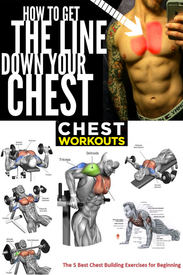 CHEST WORKOUT