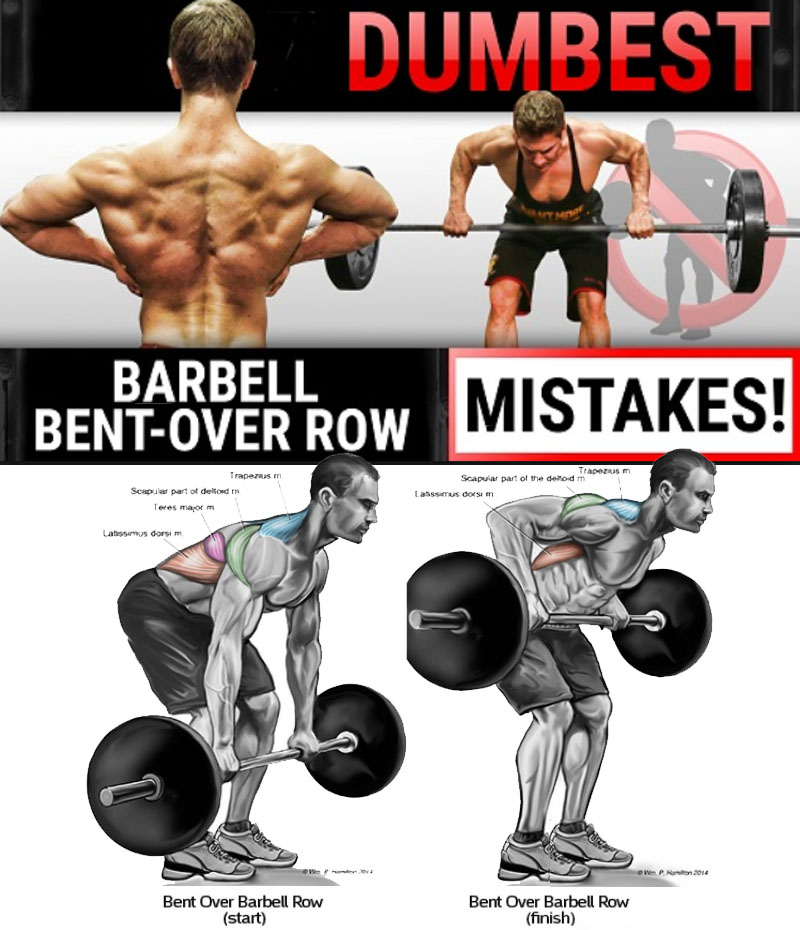 Barbell Bent Rows